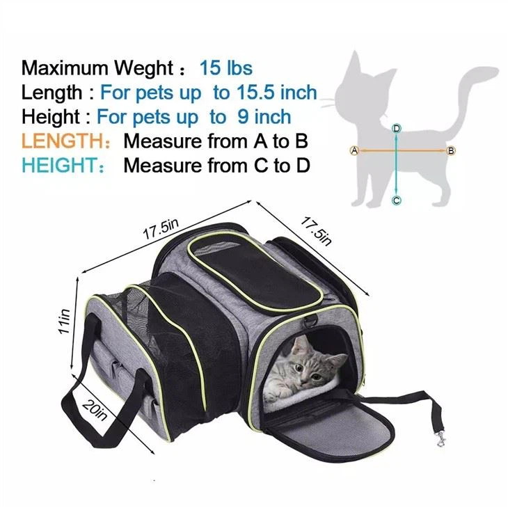 Personalized Tote Bag for Pets